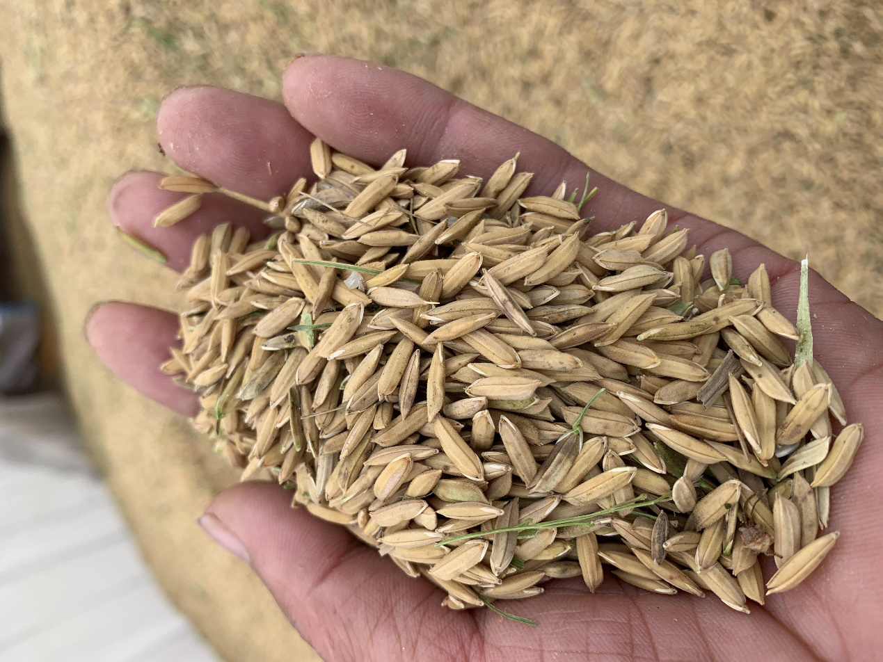 1636681653660479.png 圖片3.png