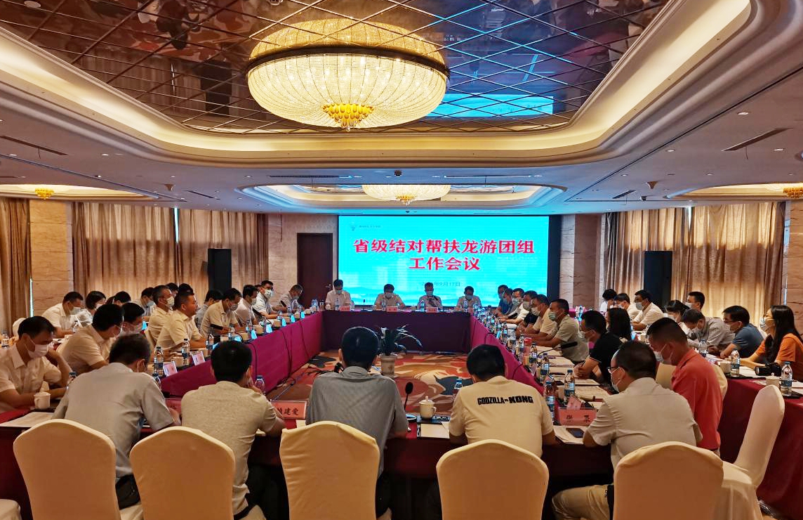 省級結(jié)對幫扶龍游團組工作會議召開 省二輕集團駐村工作組參會